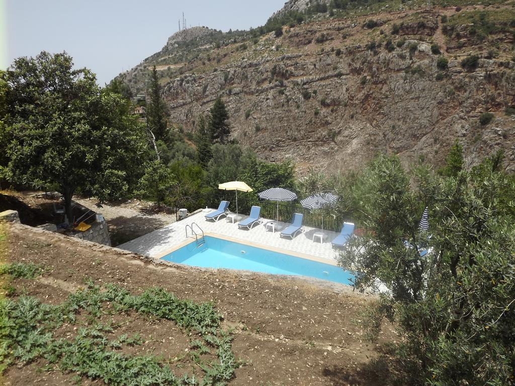 مبيت وإفطار فاراليا George House المظهر الخارجي الصورة