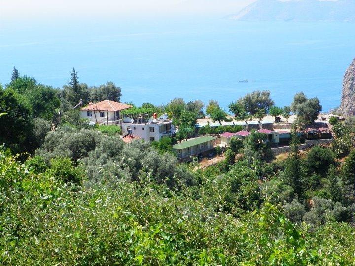 مبيت وإفطار فاراليا George House المظهر الخارجي الصورة