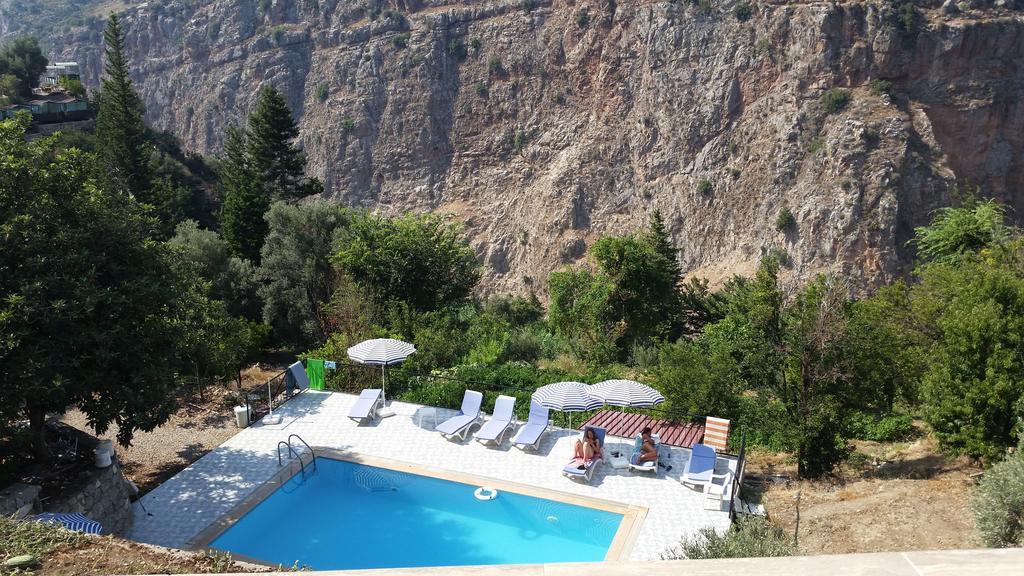 مبيت وإفطار فاراليا George House المظهر الخارجي الصورة